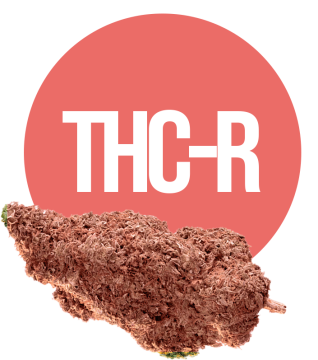 Mis on THC-R