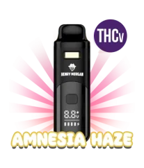 THCv Pod - Amnesia Haze, Sativa