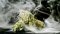 Effects of HHC: Everything you need to know