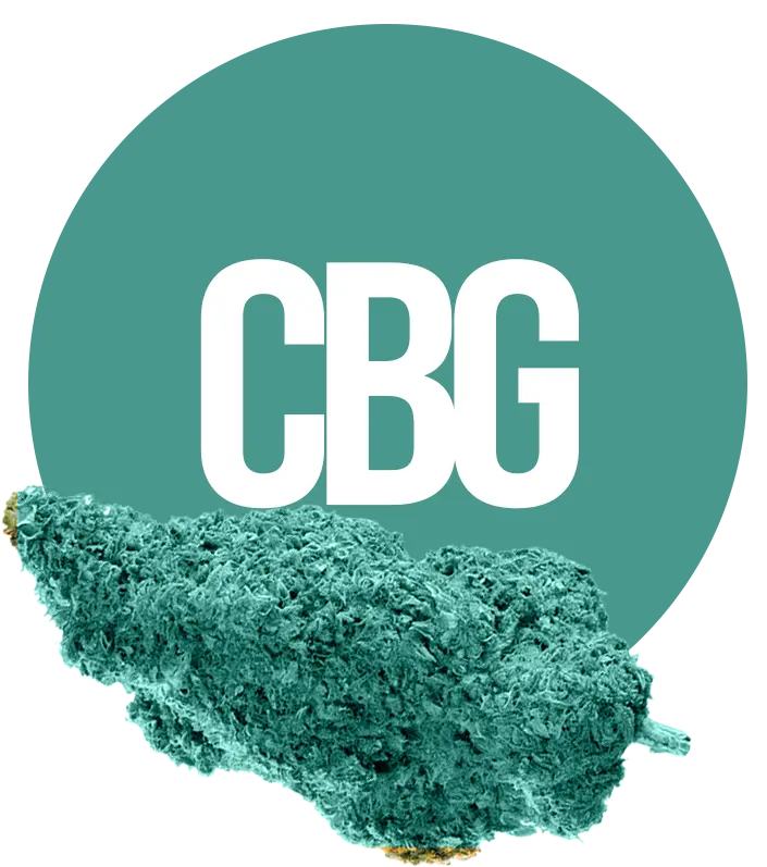 CBG