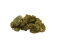 THC-PO: A new peak in the world of cannabinoids
