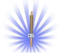 HenryMorgan joint - CBG