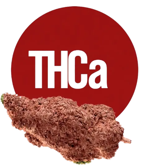 THCa