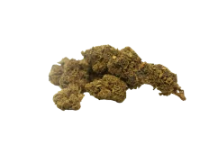 H4-CBD, Virág 1g-500g