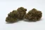 OG KUSH THC-R 20%, Indica