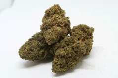 OG KUSH THC-R 20%, indica