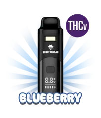 THCv Pod - Blueberry, Sativa