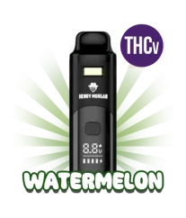 THCv Pod - Watermelon, Sativa