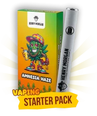HHC VAPE PRADŽIOS RINKINYS - Amnesia Haze