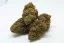OG KUSH THC-R 20%, Indica