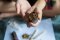 Discover the magic of HHC hashish