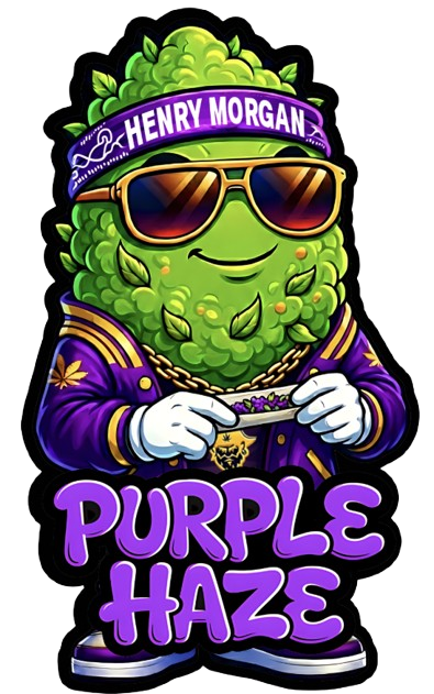 カロニ　CARONI THE PURPLE HAZE 第４弾1997-2021 Amnesia THC-R 5-20% - Ideal Indica Flowers