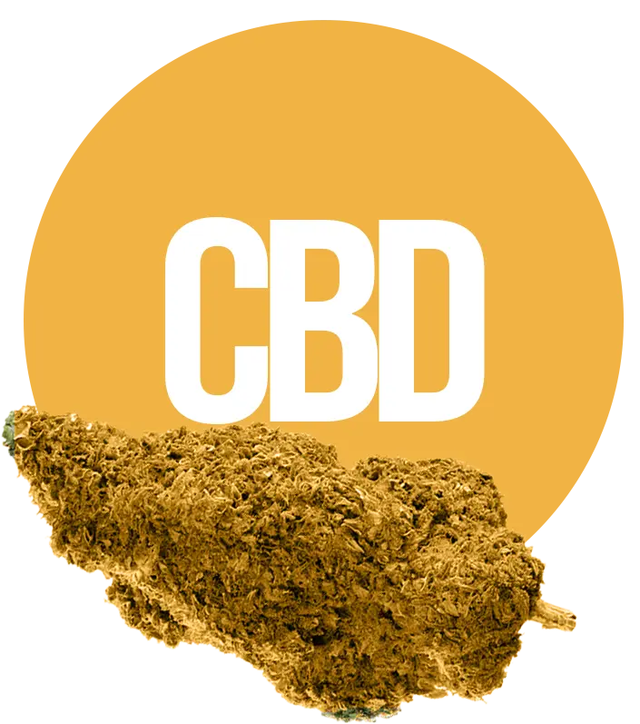 CBD lilled