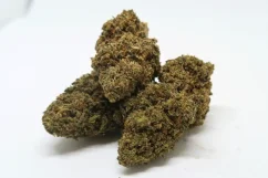 OG KUSH THC-R 20%, Indica