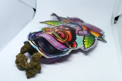Indica AK-47 HHC 10%