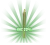 HenryMorgan joint - HHC 20%, Indica